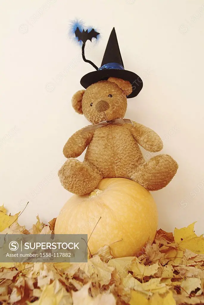 Halloween, fall foliage, pumpkin, teddy, witch-hat, autumn, foliage, leaves, pumpkin-plant, teddy bear, Kuscheltier, material-animal, hat, black, bat,...
