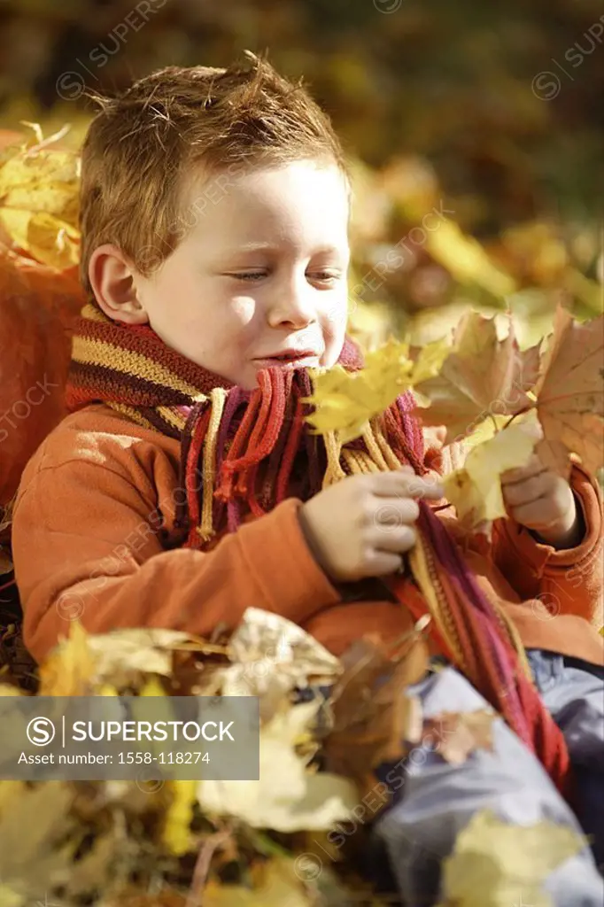 Give birth, fall foliage, lies, leaves, plays, views, cheerfully, child, 5-8 years, outside, autumn, foliage, fall leaves, forest, park, childhood, fr...