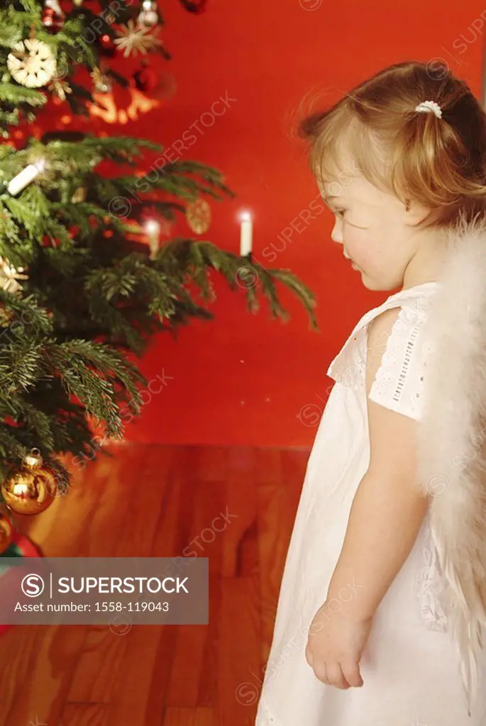 Christmas, child, girls, braids, little dress, angel-wings, side-opinion, ´Christmas-angels´, Christian-tree, people, toddler, 2-4 years, cutely, wing...