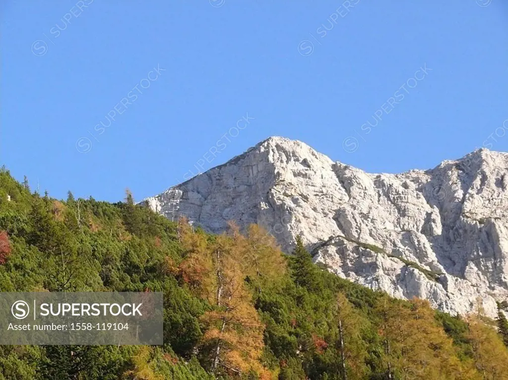Karwendelgebirge, Brunnsteingipfel, border-region, Germany, Austria, forest, autumn, mountain-region, Alps-region, mountains, mountains, Alps, highlan...