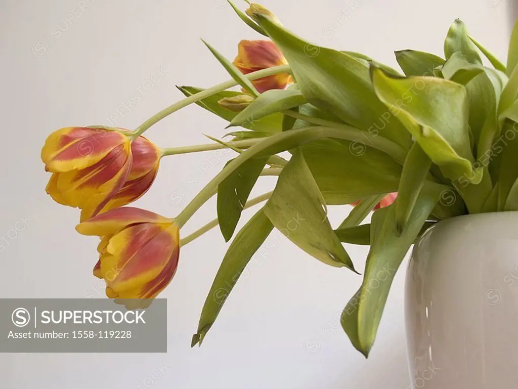 Flower-vase, tulips, blooms, yellow-red, detail, vase, flowers, flower-bouquet, tulip-bouquet, cut-flowers, lily-plant, tulip-blooms, prime, ornament-...