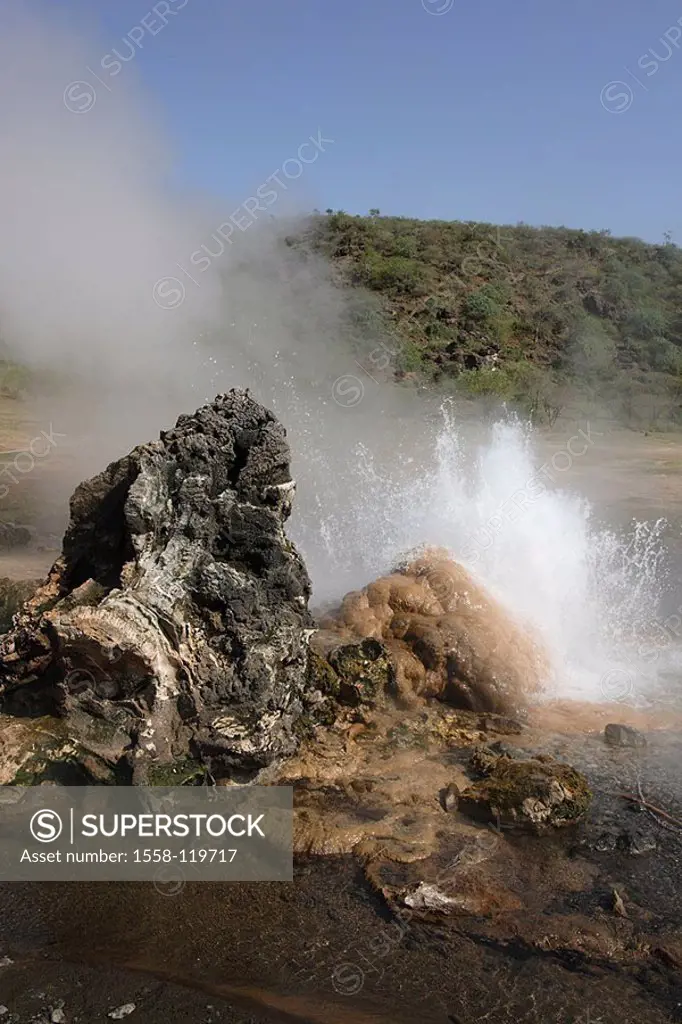 Kenya, brine Bogoria geysers series Africa East-Africa, Rift Valley, Riftvalley, volcano-area, soda-sea, Bogoria-See, hot sources, water-fountain, Spr...