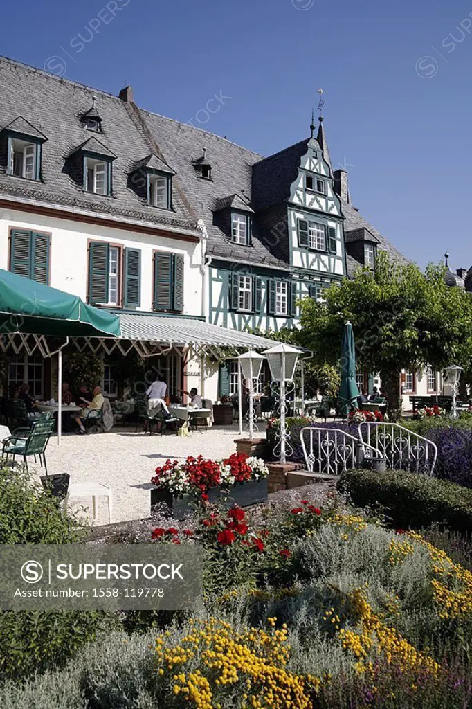 Germany, Hesse, Rhine-district, Oestrich-Winkel, hotel swan, terrace, flowers, detail,