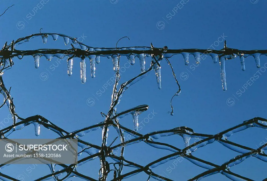 Fence, ice, cold, frost, seasons, detail, stitch-wire, stitch-wire-fence, wire-fence, plant, instinct, delicately, plant-instinct, barbed wire, water,...