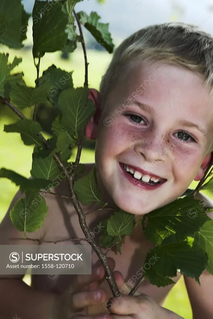 Give birth, blond, laughs, beech-branch, holds, portrait, series, people, child, 5 years, freckles, gaze camera, upper bodies freely, cheerfully, fun,...
