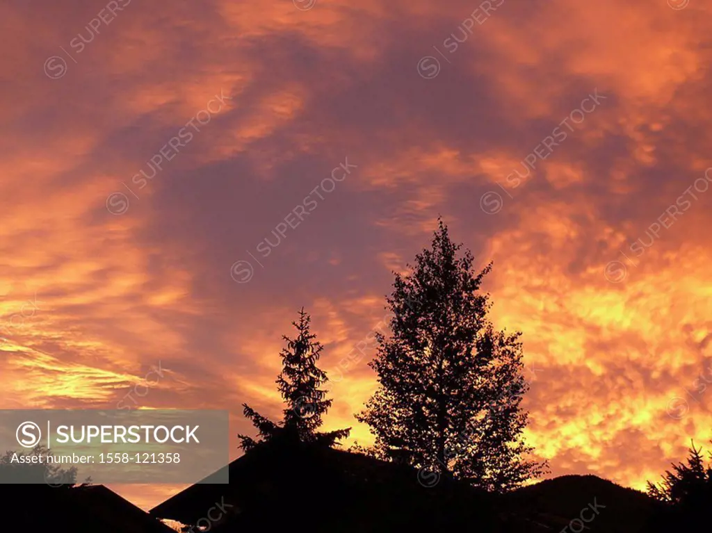 Forest, silhouette, house-roof, detail, evening-mood, series, trees, foliage-tree, conifer, house, residence, roof, cloud-mood, cloud-heavens, sunset,...