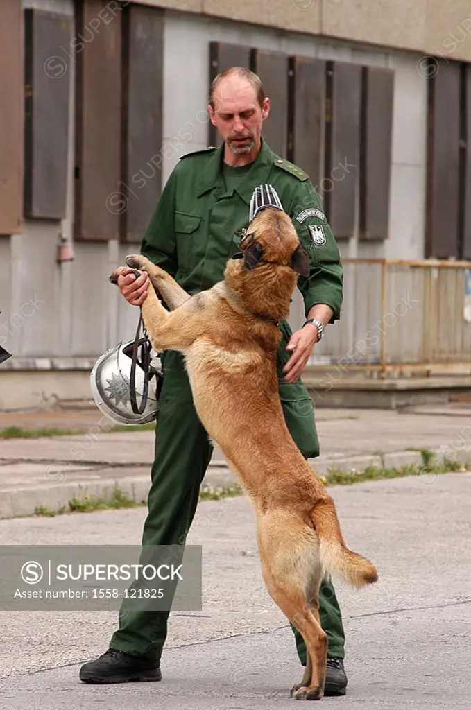 Police-dog-leaders, sheepdog, training, people, police, man, dog-leaders, police officer, police official, police-uniform, uniform, dog, police-dog, m...