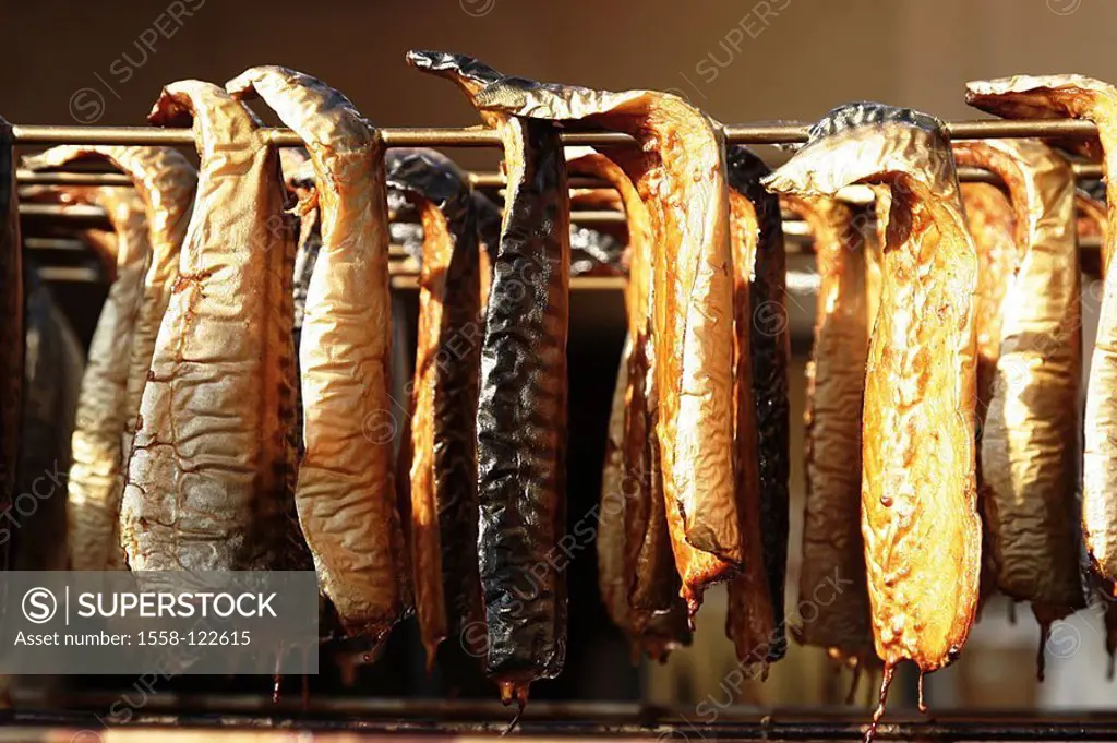 Räucherfisch, food, Denmark, specialty, fish, food-fish, fish fillets, herring, preparation, bragged, hangs, hangs, smokes, preservation, durability, ...