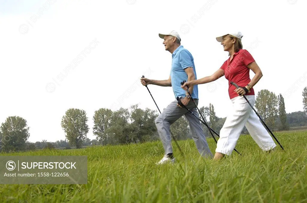 Meadow, senior-pair, Nordic Walking, movement, cheerfully, at the side, series, people, 50-60 years, 60-70 years, pair, seniors, goes, Walking, well A...