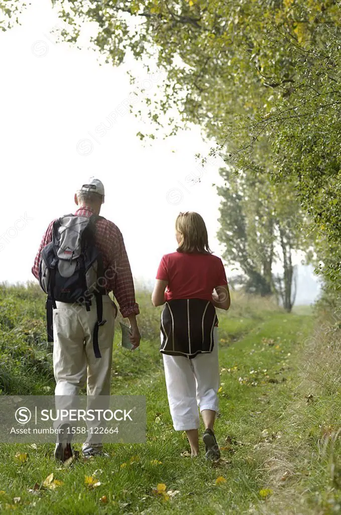 Forest-edge, senior-pair, hiking, back-opinion, autumn, series, people, 50-60 years, 60-70 years, hikers, pair, seniors, well Age, movement, goes, wal...