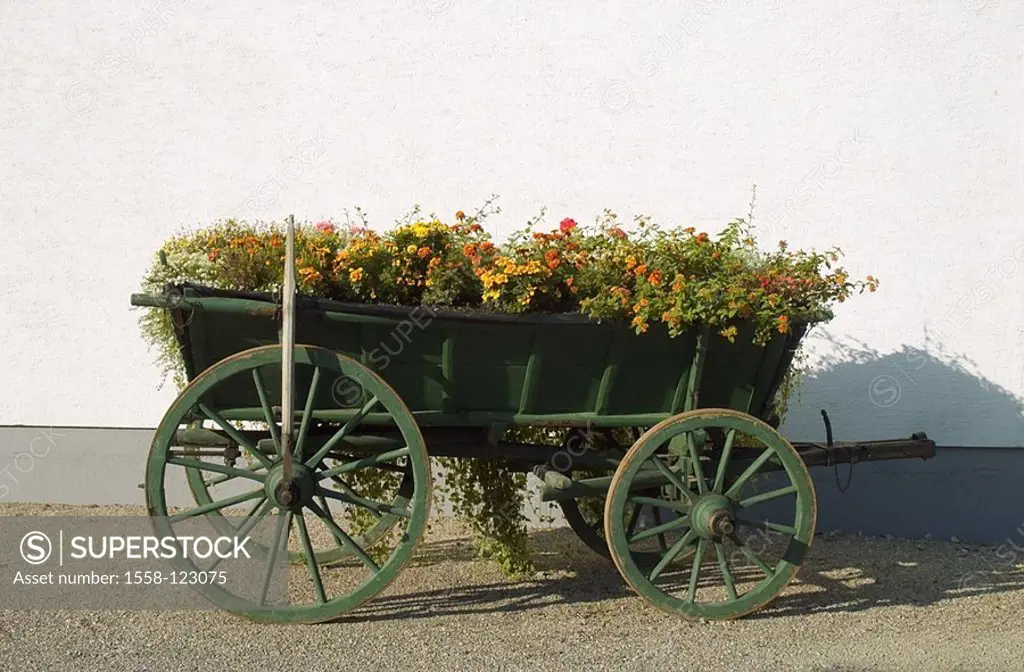 Horse-cars, flowers, cars, green, old, umfunktioniert, bloom misused, Pflanzgefäß, plants, flower-jewelry, idylls, village-idylls, rural, text-space,