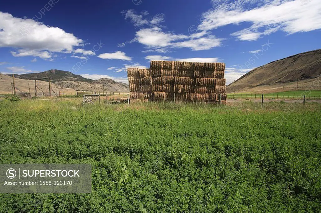 Canada, British Columbia, Cache Creek, farm, pastures, straw-bale, mountains, cloud-heavens, summers, North America, west-Canada, ranch, been out of t...