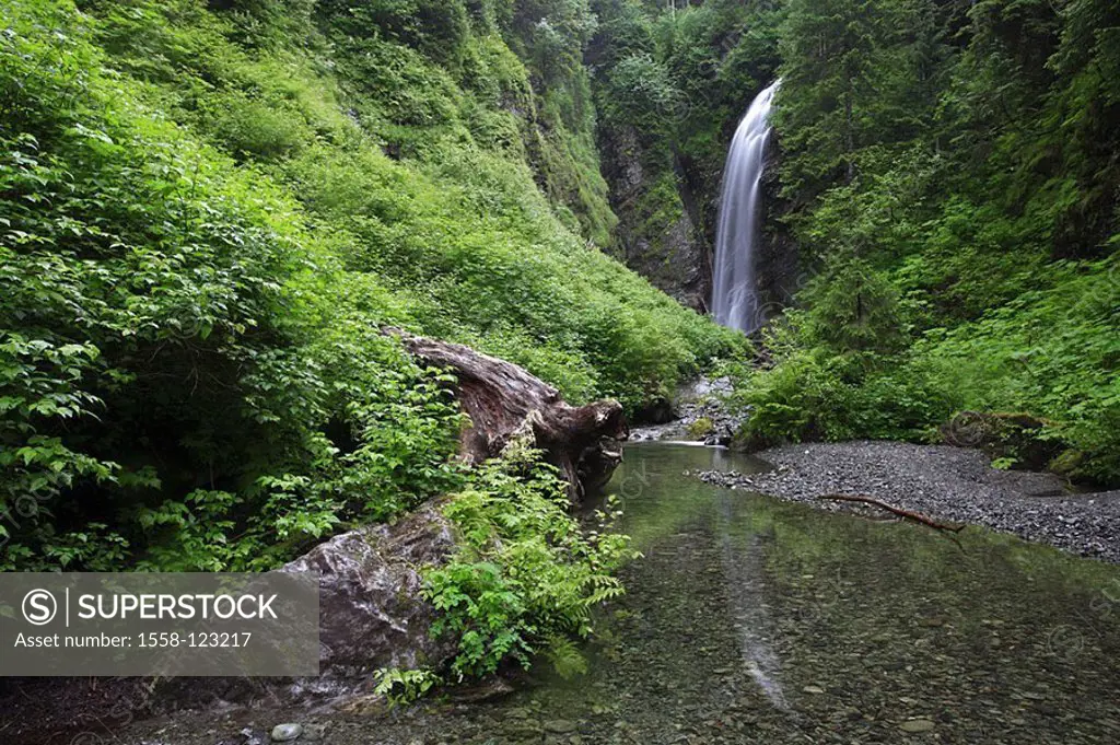 USA, Alaska, Baranof Iceland, Tongass National Forest canyon waterfall of Indian River case color-mood green, North America, southeast-Alaska, southea...