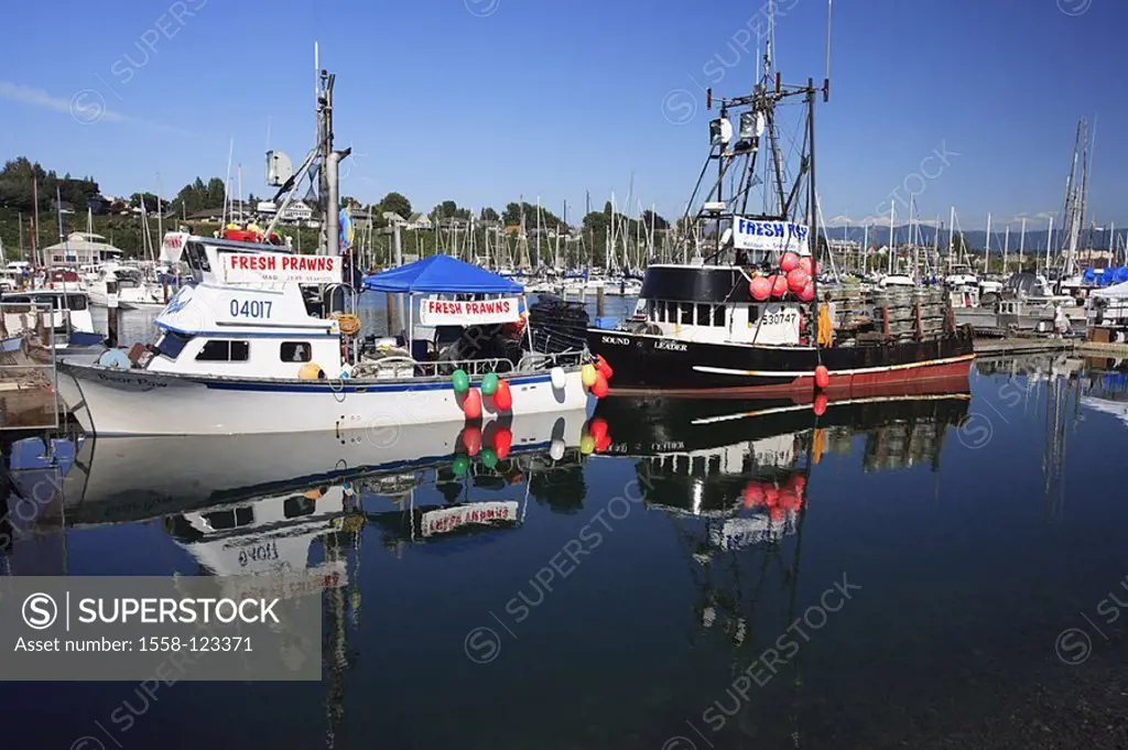 USA, Washington State, coast, Bellingham, harbor, landing place, fisher-boats, reflection, sea, summers, North America, Pacific-coast, Bellingham bay,...