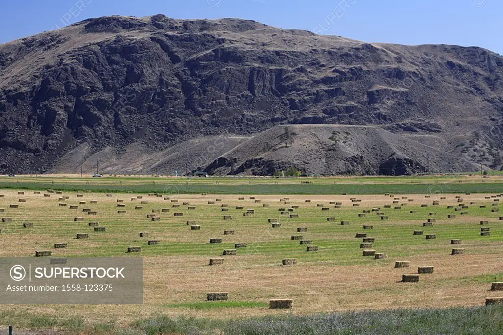 Canada, British Columbia, field-landscape, straw-bale, mountains, summers, North America, economy, agriculture, field-economy, fields, meadows, straw,...