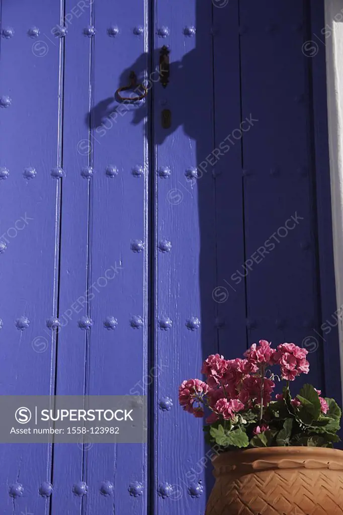 Wood-door, blue, flowerpot, geraniums, Spain, Andalusia, Frigiliana, regional-typically broached, mediterran door entrance, front door, rivets, grips,...