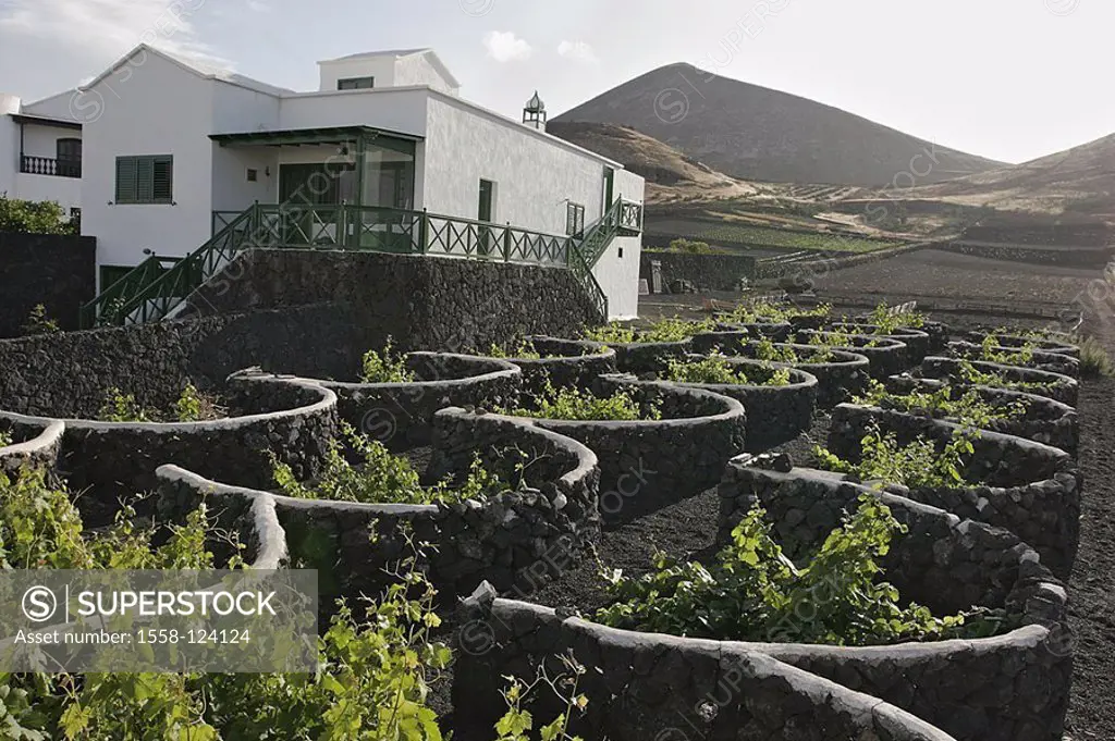 Spain, Canaries, island Lanzarote, Tao, wine-growing, protection-walls, house, Europe, destination, sight, agriculture, economy, cultivation, plants, ...
