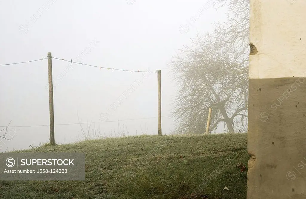 Garden, clothes line, fog, house-wall, detail, house-corner, corner, rope, clothes pins, diffuse, meadow, posts, tree, bald, season, autumn, human-emp...