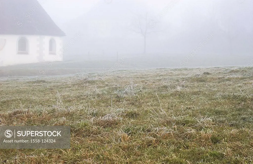 Meadow, frost, chapel, detail, fog diffuse, grass, grass, dries up, unclearly, become blurred, rural, buildings, hoarfrost, season, autumn, autumnal, ...