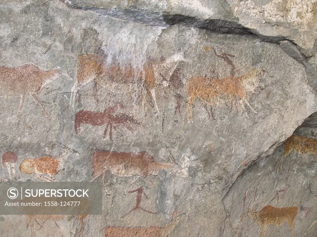 South Africa, province East-cape cave wall-painting, prehistorically, detail, Africa, Eastern Cape, cave-painting, rock-wall, cave-wall, rocks, painti...