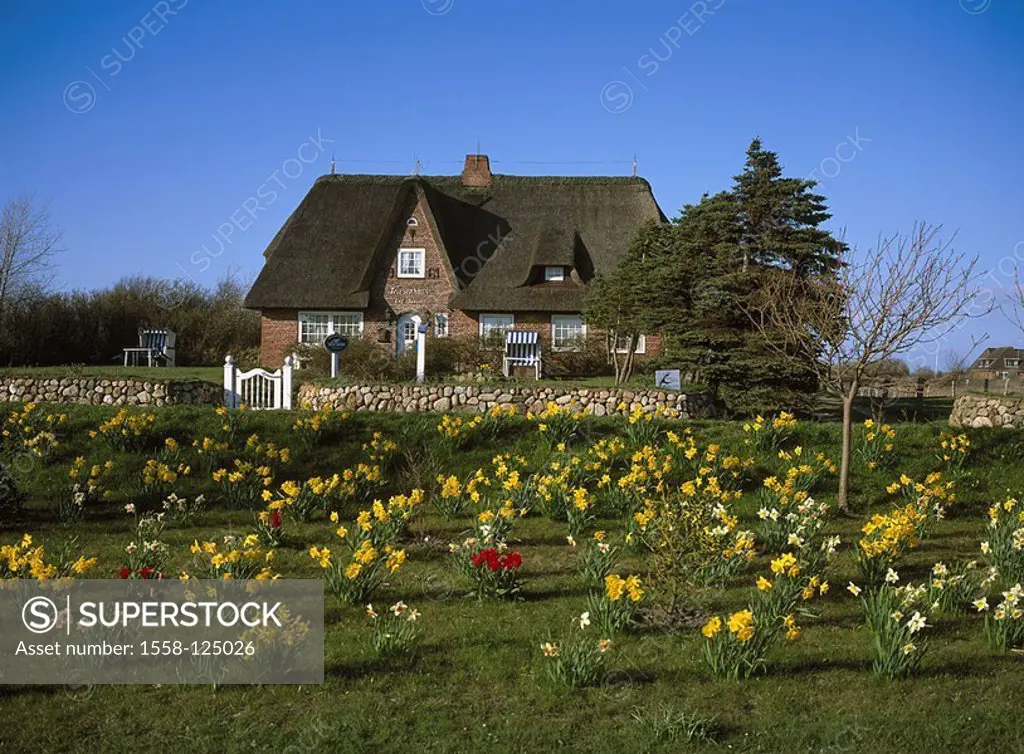 Germany, Schleswig-Holstein, island Sylt, Wenningstedt, vacation house, Northern Germany, North-frieze-country, destination, Baltic sea, tourism, hous...