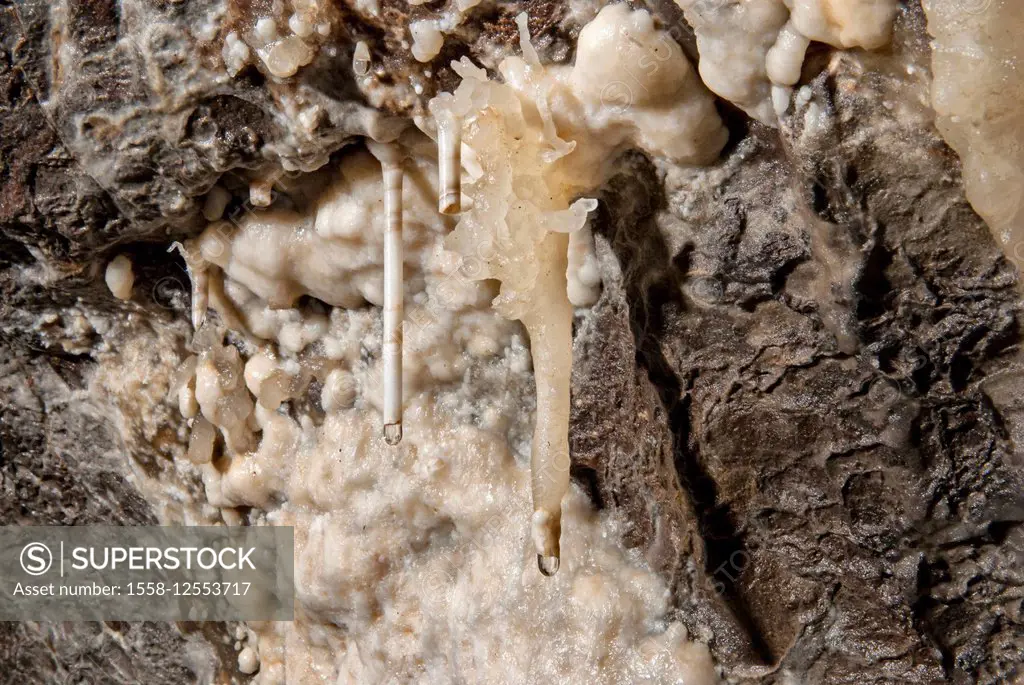 white sinters and sinter tubes in a cave