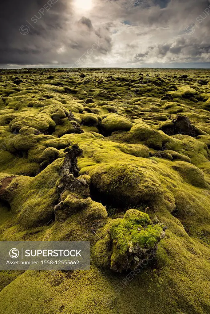 Iceland, Eldhraun, Laki crater, outbreak crack, Eldgjá, row of craters,