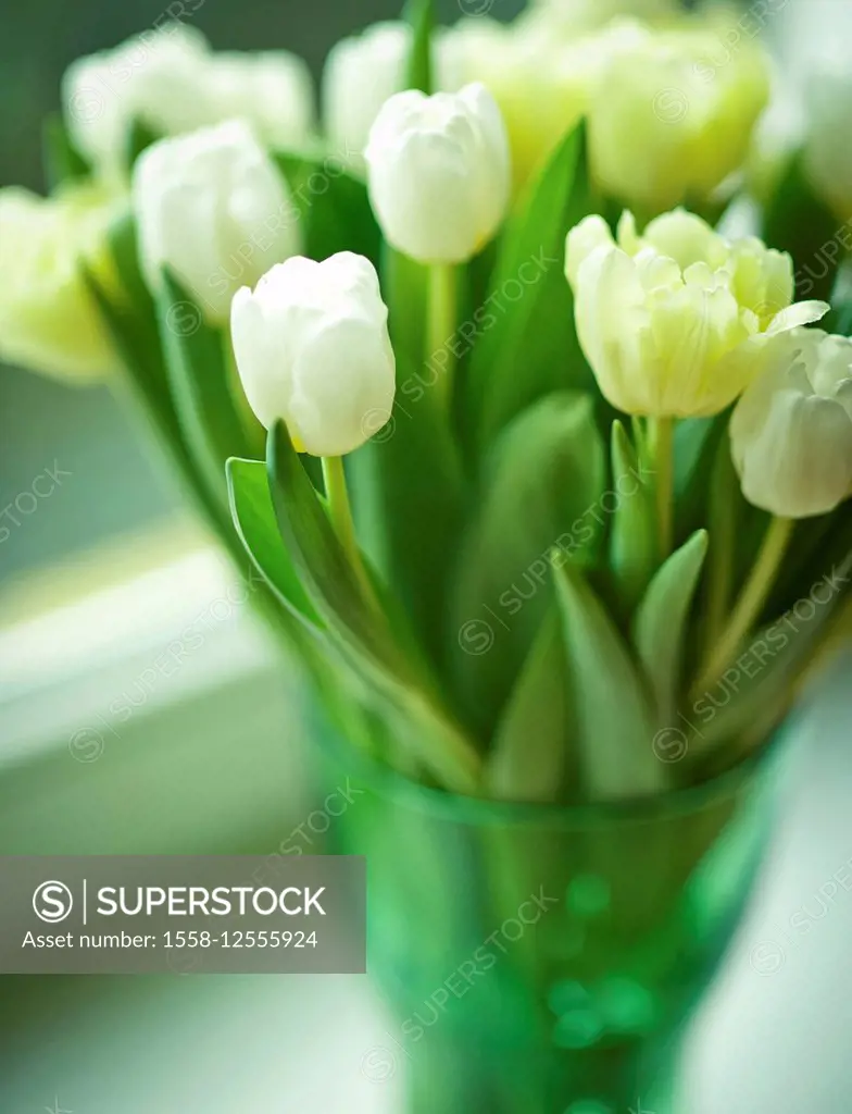 Bouquet of tulips in green vase,