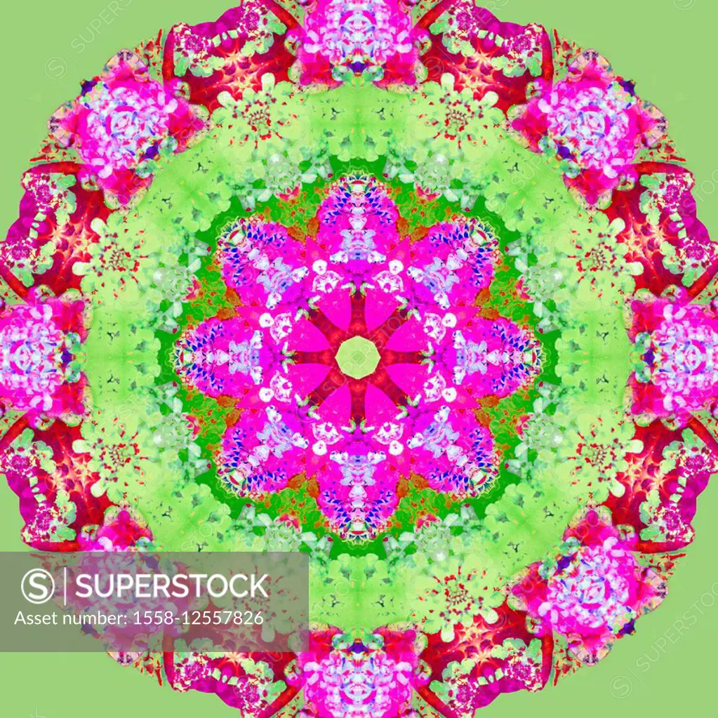 A symmetric Floral Montage from flower photographs,