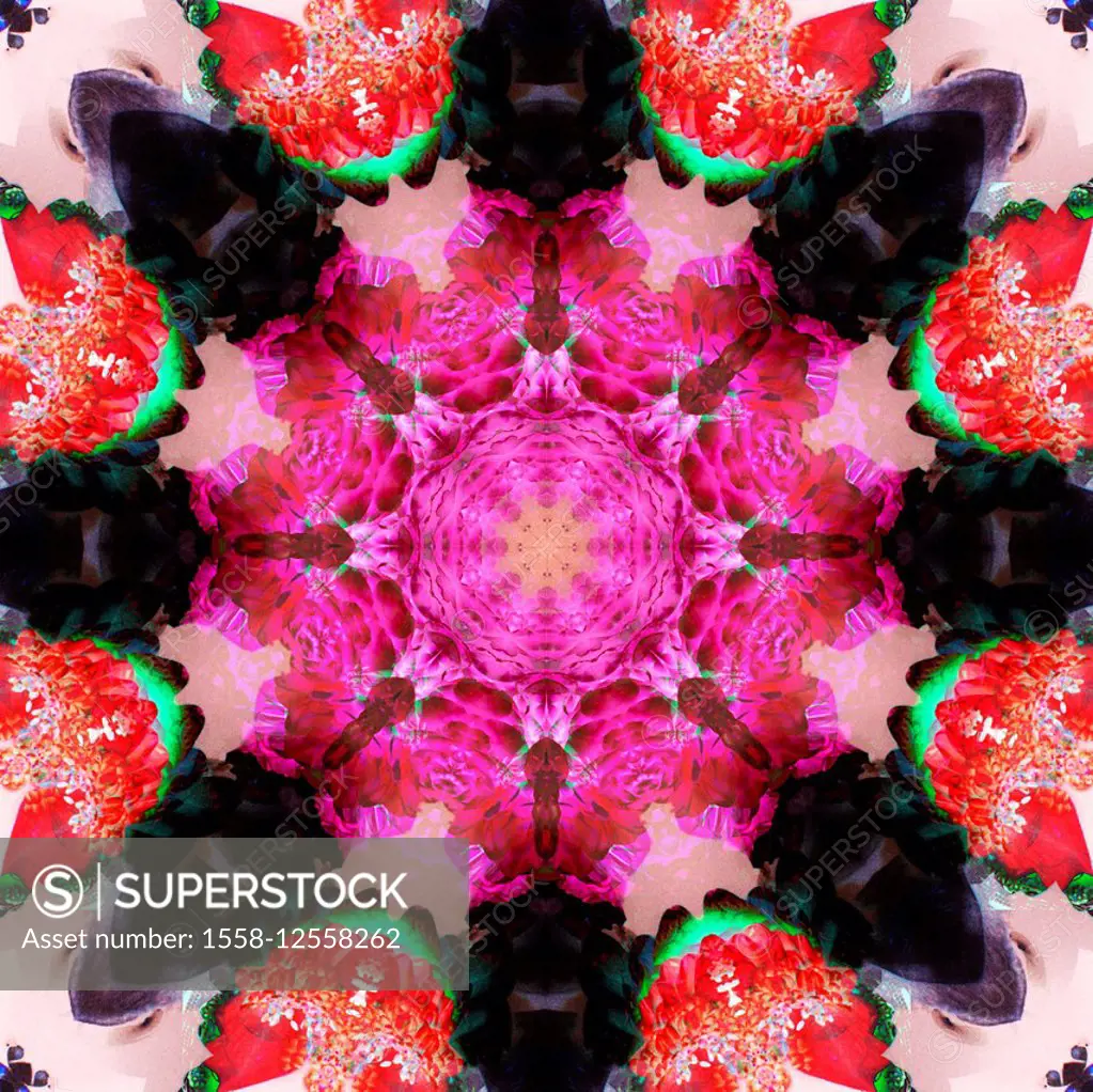 symmetric energetic floral montage of flowers