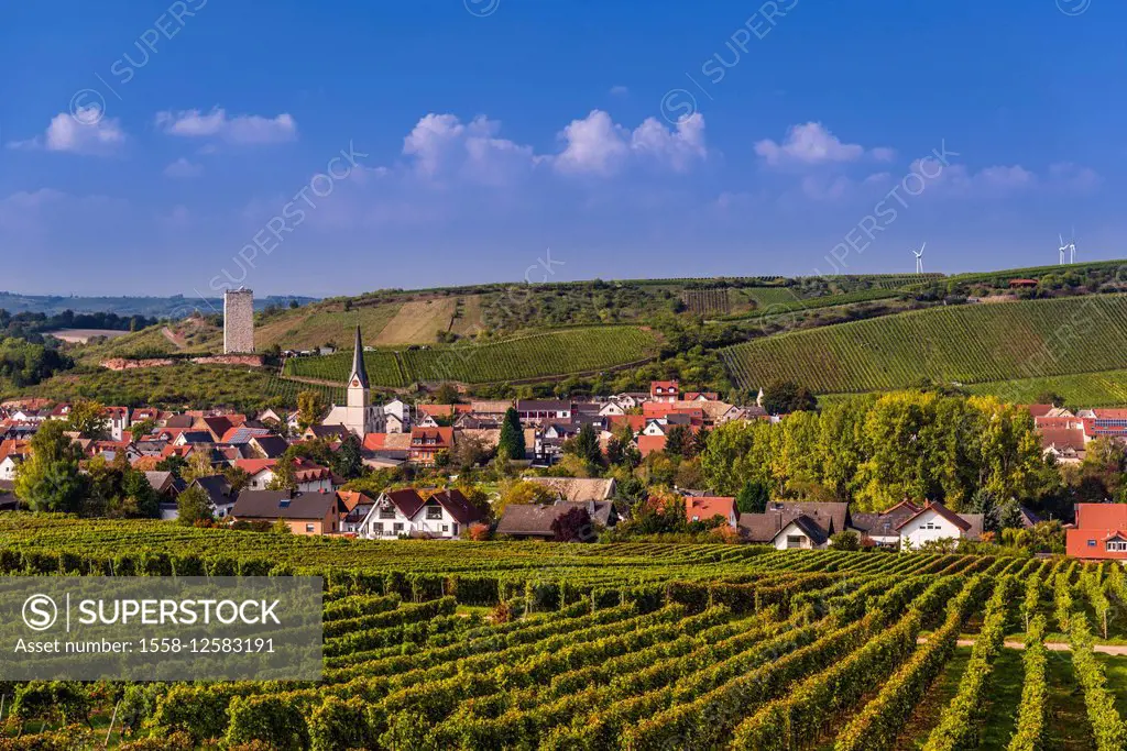 Germany, Rhineland-Palatinate, Rheinhessen region (Rhine-Hesse), Nierstein, district Schwabsburg, vineyards, village with castle tower