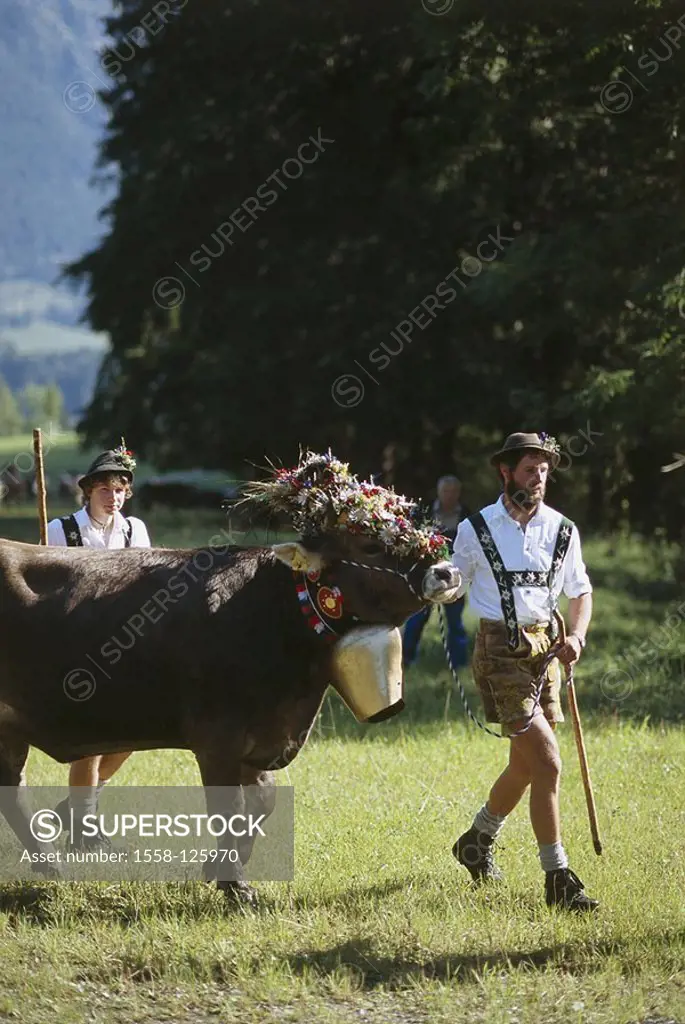 Germany, Bavaria, Oberallgäu, colonel-village, Almabtrieb, ´Viehscheid´, nature, Alps-region, mountain-region, people, animal, livestock, cows, cow, c...