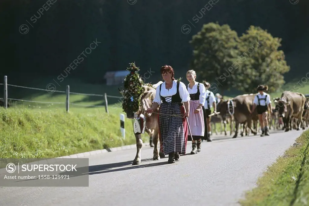 Germany, Bavaria, Oberallgäu, Obermaiselstein, Almabtrieb, ´Viehscheid´, nature, Alps-region, mountain-region, street, people, animals, livestock, cow...