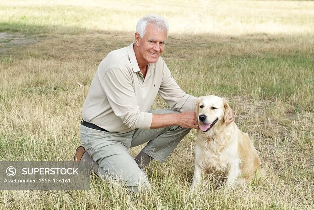 Meadow, senior, white-haired, dog, caresses, cheerfully, series, people, seniors, man, 60-70 years, grey-haired, gaze camera, animal, mammal, golden R...