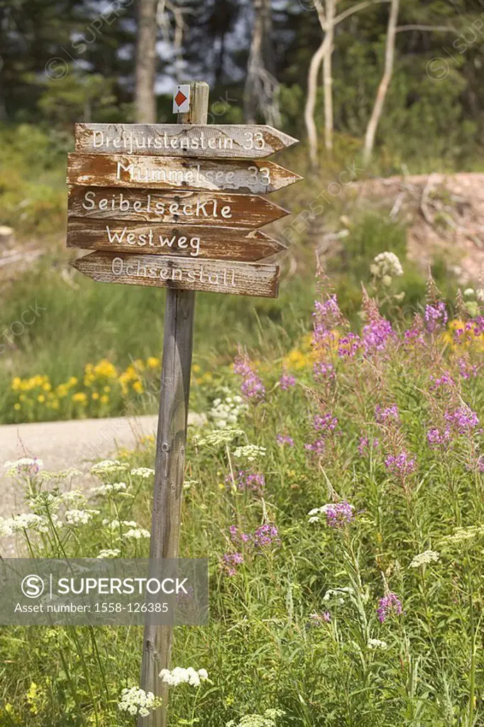 Germany, Baden-Württemberg, Black forest, signposts, flower-meadow, North-Black forest, markers, wood-signs, signs, labeling, information, statements,...