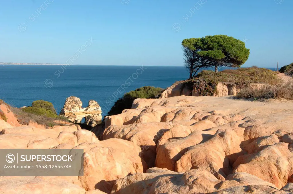 Portugal, Lagos, south coast, scenery, sea, rock, tree