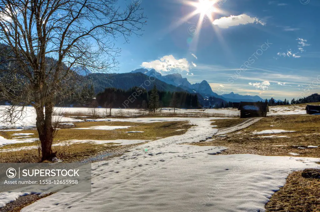 at the Geroldsee lake in winter, Upper Bavaria, Bavaria, Germany