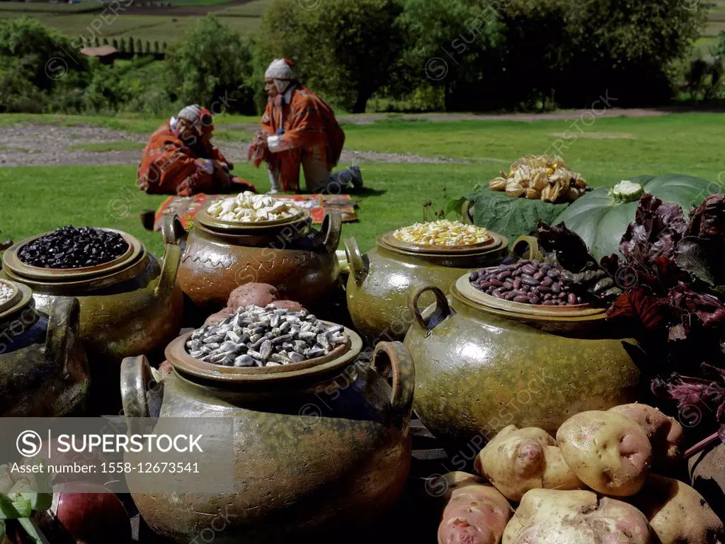 traditional Andean foods