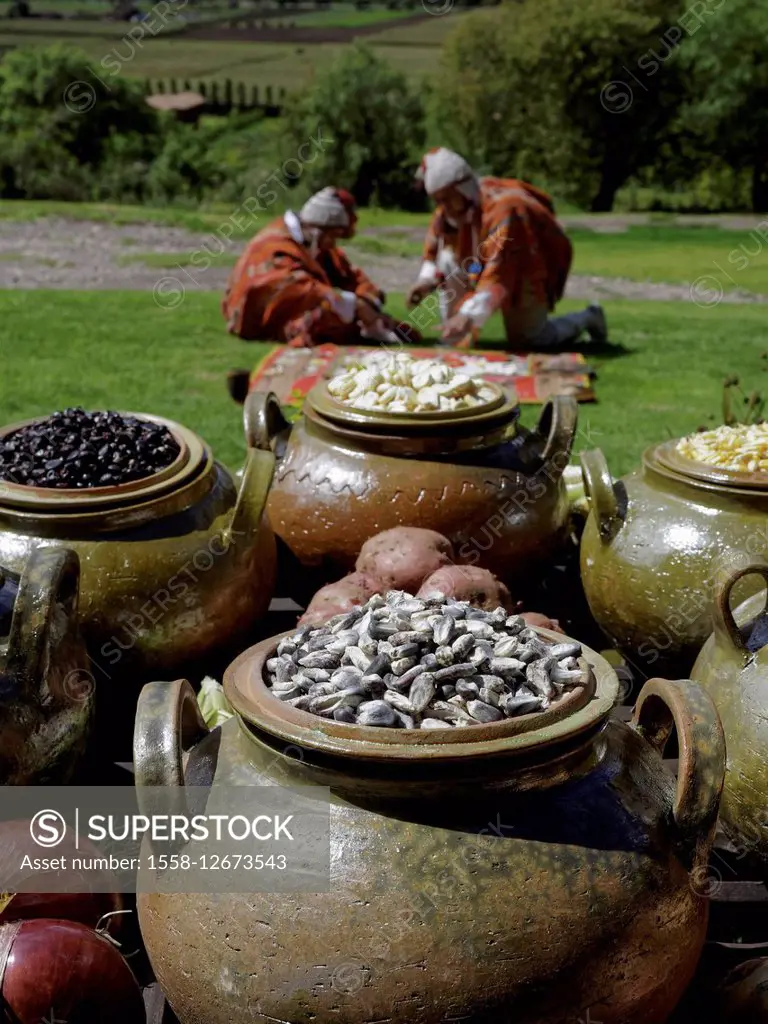 traditional Andean foods
