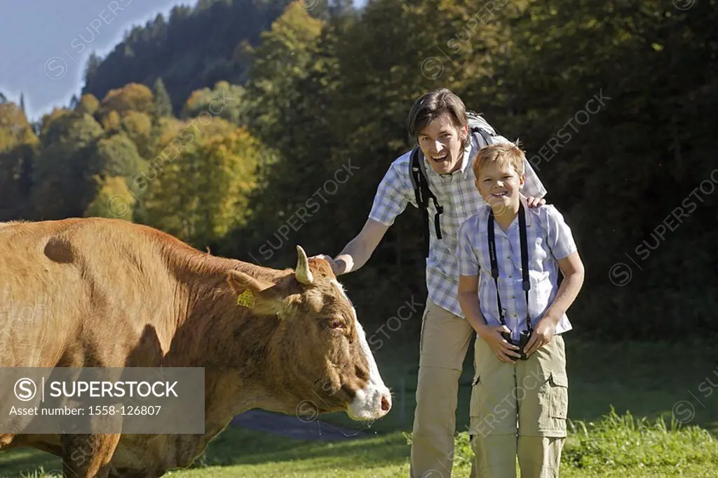 Father, son, hiking, cow, caresses, laughs,