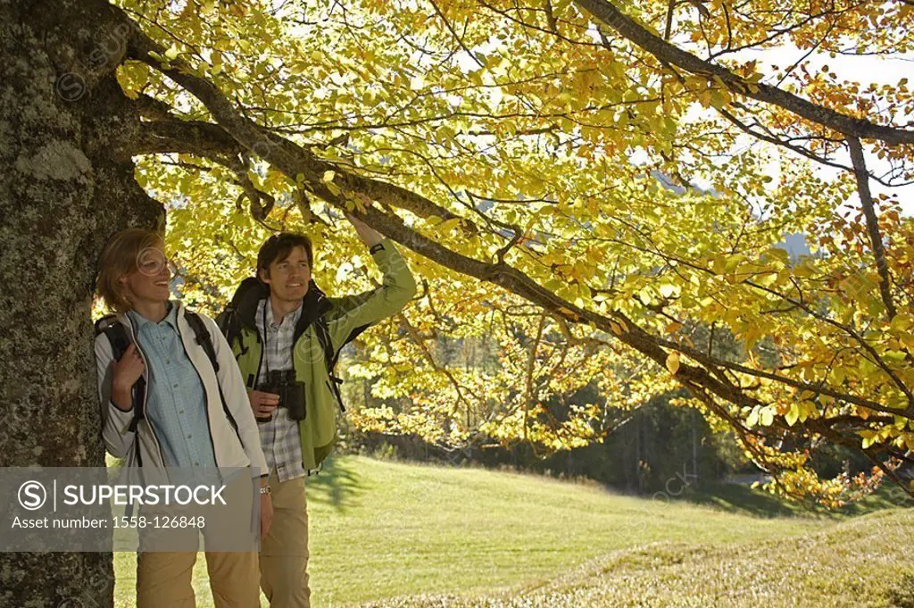 Mate, hiking, autumn, tree, rest,