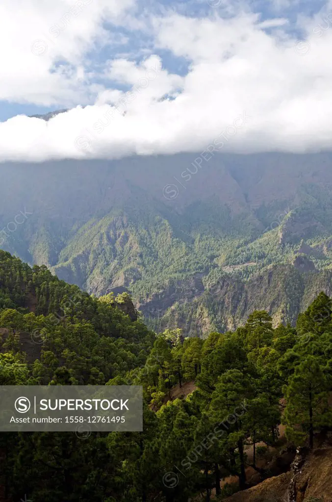 La Palma, Caldera de Taburiente,