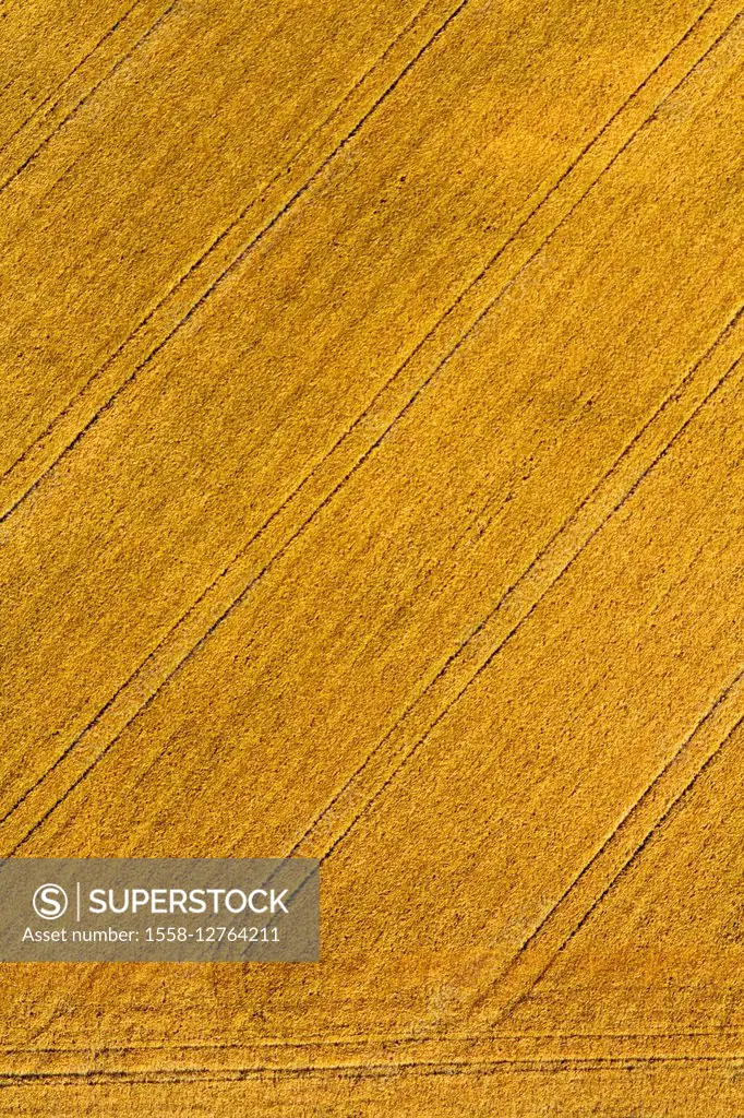 Grain field, overview, from above, tracks, summers
