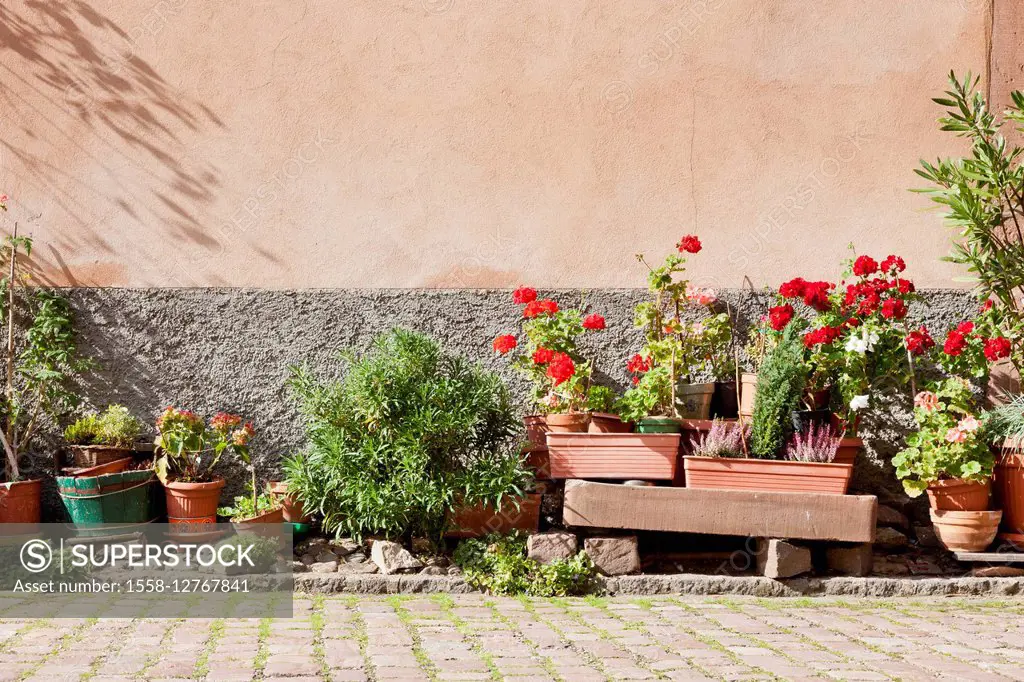 Flowerpots at wall of a house