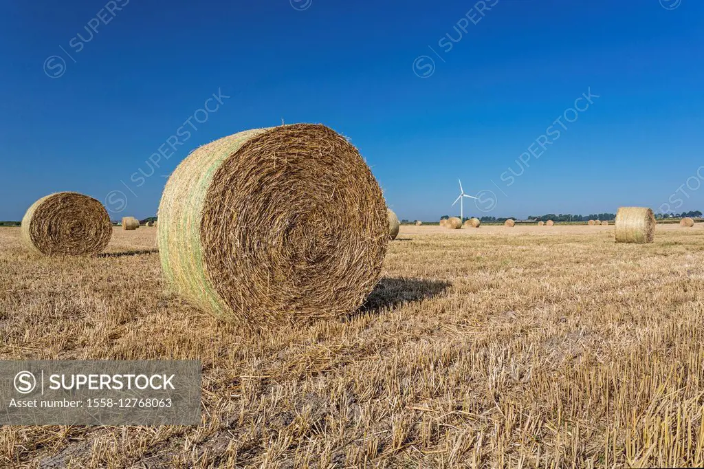 Harvested grain field, straw bales, stubble field, Carolinensiel,