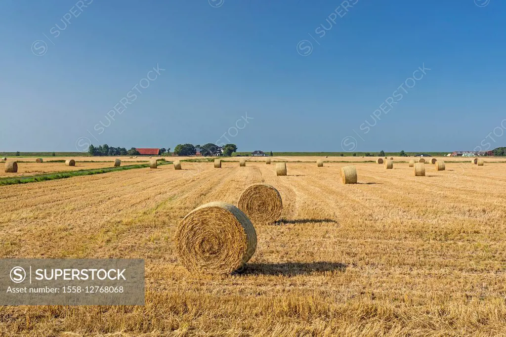 Harvested grain field, straw bales, stubble field, Carolinensiel,