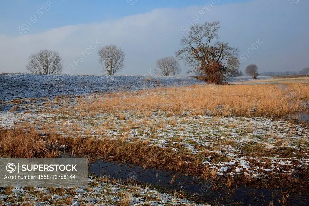 Meadow scenery in winter