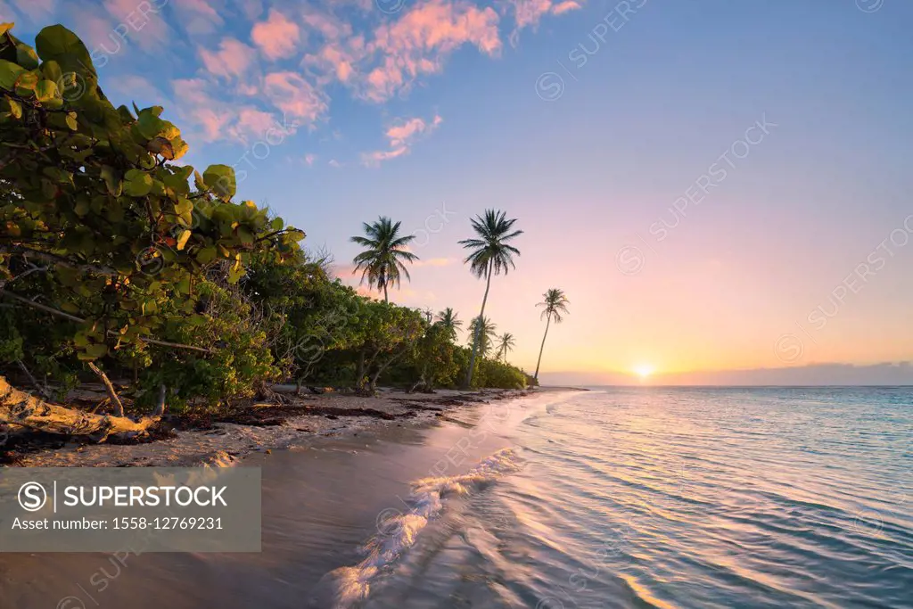 Guadeloupe, the Caribbean, France, island, tropical, paradise, palms, beach, sea, Sand, sunrise, back light,