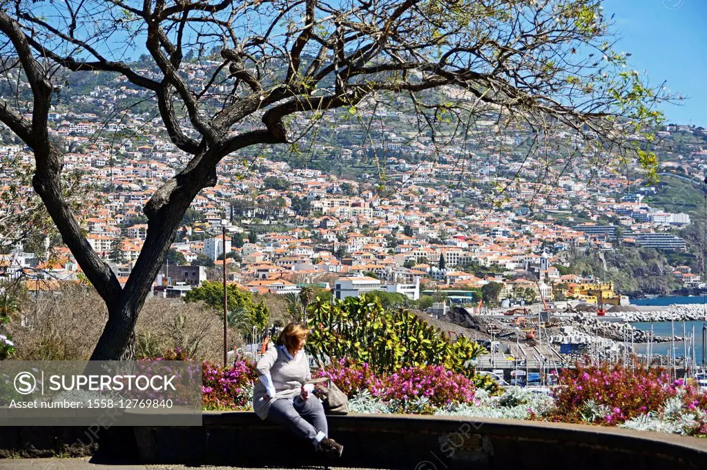 Funchal, view from the town park Santa Catarina on the city