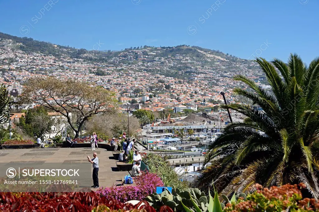 Funchal, view from the town park Santa Catarina on the city